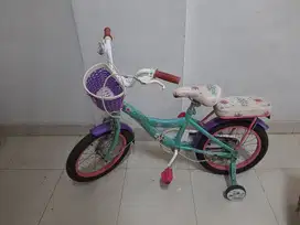 sepeda wimcycle 16 inch frozen