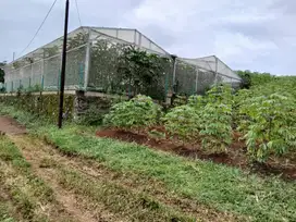 Tanah Kavling Besar, Bisa Kos Kosan, Lokasi Strategis Jatinangor