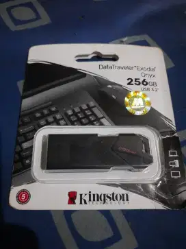 Flashdisk Kingstone 256 GB USB 3.2 ORI