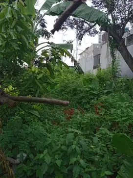 Dijual Tanah di Pejaten Barat