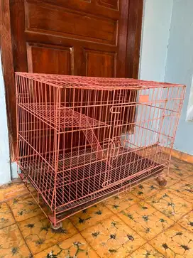 Kandang Kucing Tingkat 2