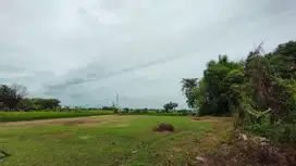 TANAH PROSPEK HUNIAN COCOK UNTUK RUMAH TIPE 72-80 DEKAT TOL MADIUN