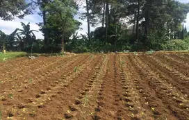 Dijual Cepat Tanah Lokasi Premium Jl Raya Setia Budi Bandung