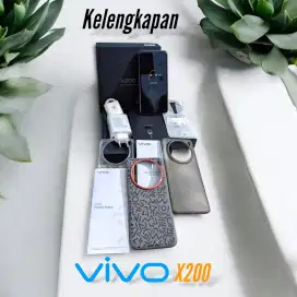 Vivo X200 12/256GB Copper Green