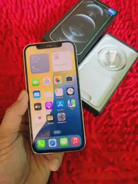 iPhone 12 pro 128 GB eks resmi Mulus fulset