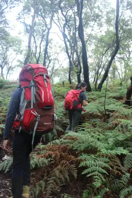 Caril tas hiking tas gunung Consina