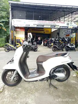 HONDA SCOOPY PRESTIGE TH.2022