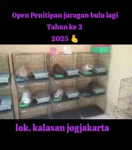 Penitipan kucing