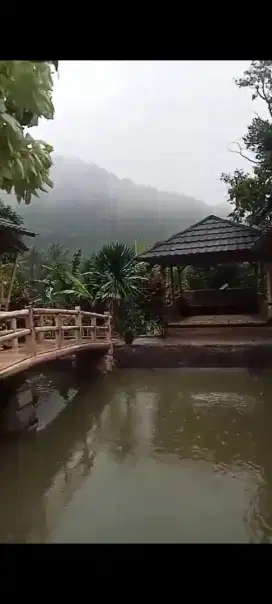 Villa Kayu 3 unit+ kolam Di rumpin bogor Sejuk