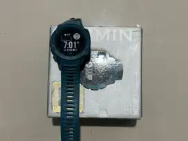 Garmin insticnt