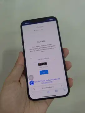 iPhone 12 Promax 256 sudah bea cukai
