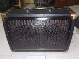 Ampli gitar peavey ecotik 208