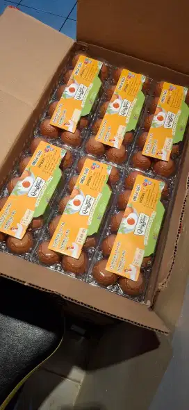 Telur Omega Premium Sertifikat Uji Lab