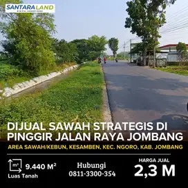 Sawah Strategis di Pinggir Jalan Raya Jombang Ngoro Malang