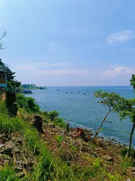 TANAH TEBING LOS PANTAI DI CUPEL JEMBRANA BALI