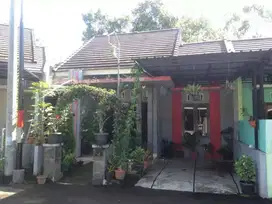 DISEWAKAN RUMAH 5 MENIT DARI SCH