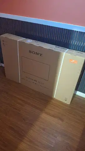 Sony Bravia XR 55A80L