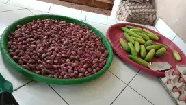 Kurir barang dan sayuran ( baca deskripsi nya dulusebelum tanya)