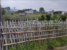 Tanah padat murah di cisaroni lembang