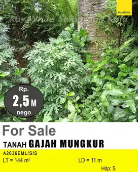 DIJUAL TANAH DI GAJAH MUNGKUR A2636