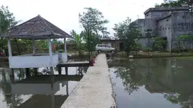 Rumah Burung Walet Serang Baros