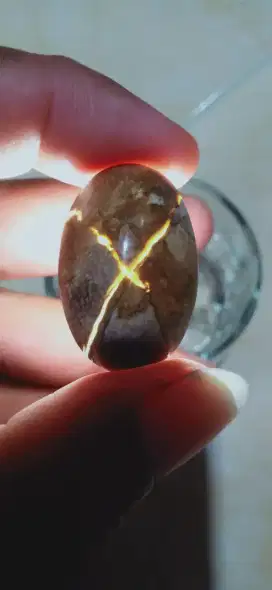 Batu fosil kelor