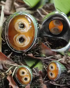 Natural batu angka 8 batu hoki sulaiman madu