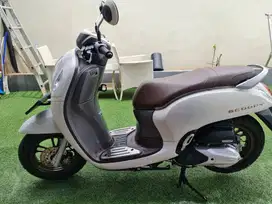 Honda Scoopy 2024 Low KM