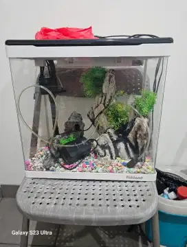 Aquarium Ikan dan perlengkapannya