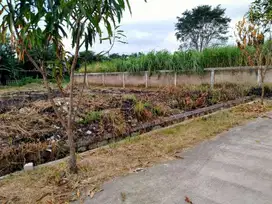 Dijual Tanah murah lokasi strategis di Cikampek Jawa64