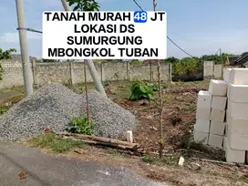 TANAH MURAH PETOK D MILIK PRIBADI DS SUMURGUNG MBONGKOL TUBAN