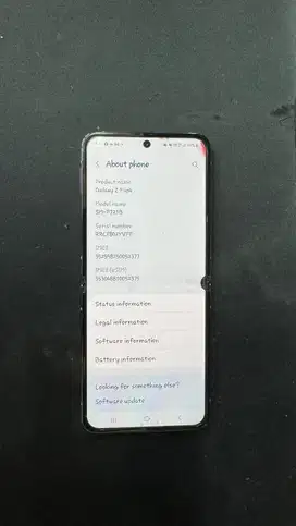 LCD Samsung Flip 4 original sein