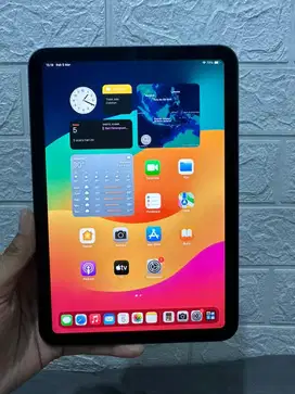 Ipad mini (generasi ke-6) 64Gb