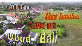 Close to Monkey Forest 3,000 m2 Freehold Flat Land