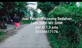 Jual Tanah SHM 5000 M2 di jl Koong Bedahan Depok