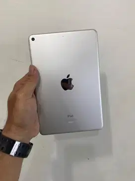 Ipad mini 5 64GB ibox wifi batang