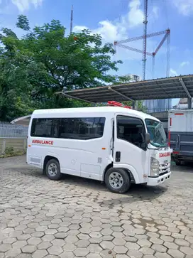 Isuzu Elf 2023 Diesel