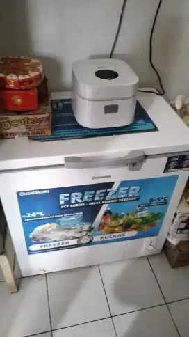 Chang Hong freezer