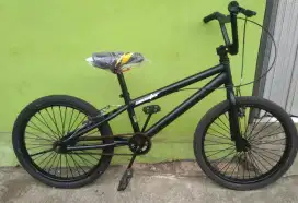 Bmx senator lycan 20