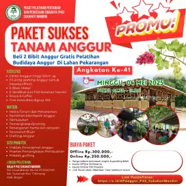 Pelatihan Budidaya Anggur Impor