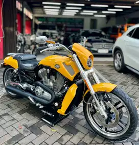 Harley Davidson V-Rod Muscle Anniversary Edition 2012