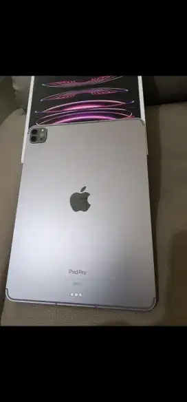 Ipad Pro 11 inch (Mulus semulus mulusnya)