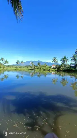 TANAH DAN KOLAM SITUSARI, TASIKMALAYA