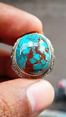 Pirus Mesir ceplok kuro Jenong mewah
