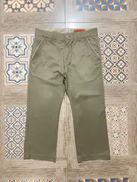 Dickies chinos pants