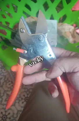 gunting pangkas dahan tanaman