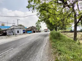 Lahan Industri Super Murah di 0 Jakan di Jombang