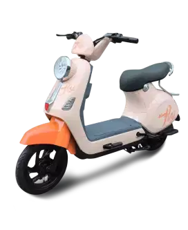PROMO RAMDHAN SEPEDA LISTRIK T60 NFC HARGA MUMER