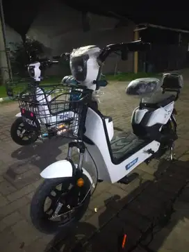 sepeda listrik siap pakai garansi