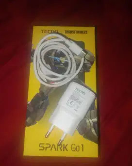 Casan Original Tecno spark go 1 type C